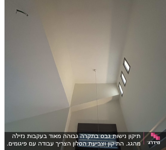 תיקון נישות גבס בתקרה גבוהה מאוד בעקבות נזילה מהגג. התיקון וצביעת הסלון הצריך עבודה עם פיגומים. בנוסף, ביצוע עבודות דפכטל בעקבות רטיבות מהחלונות והקירות.
